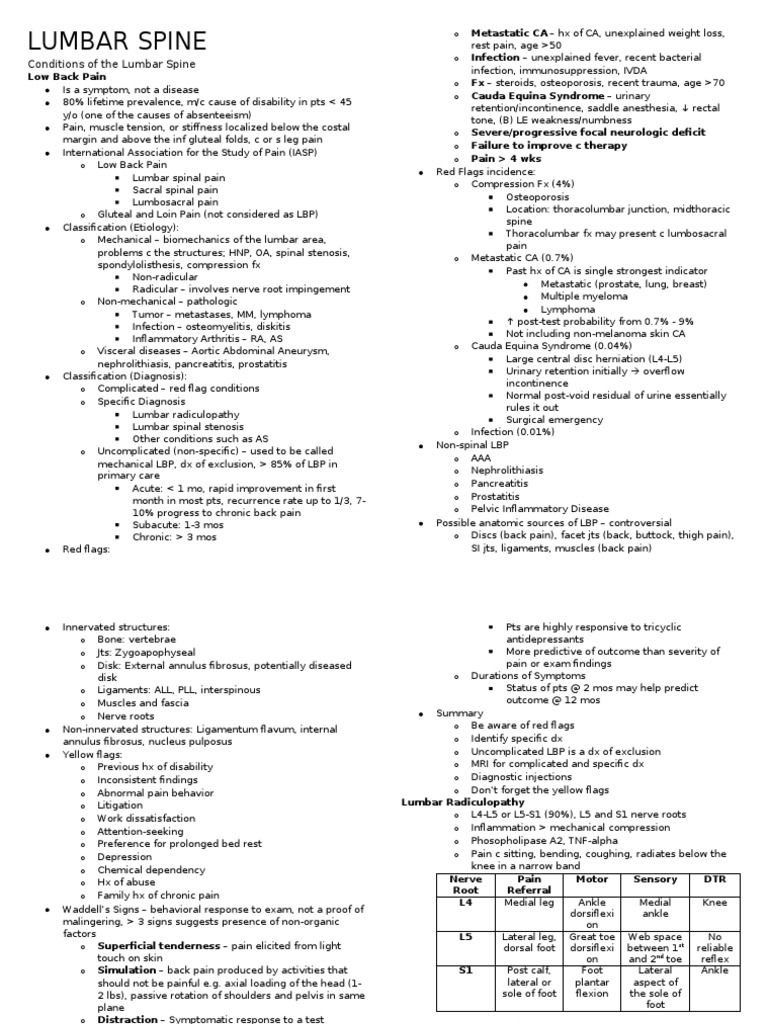 Conditions of The Lumbar Spine | PDF | Back Pain | Low Back Pain