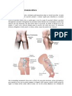 INJECTIA SUBCUTANATA SI IM