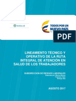 Lineamiento Tecnico y Operativo Riast 18 de Agosto de 2017 PDF