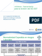 PRESENTACION SGSST- ESTANDARES.pdf