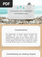 Non-Uniform Quantization and Companding