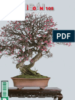 Bonsai Pasión N° 105 PDF