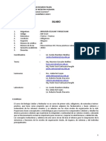 Silabo BCM PDF