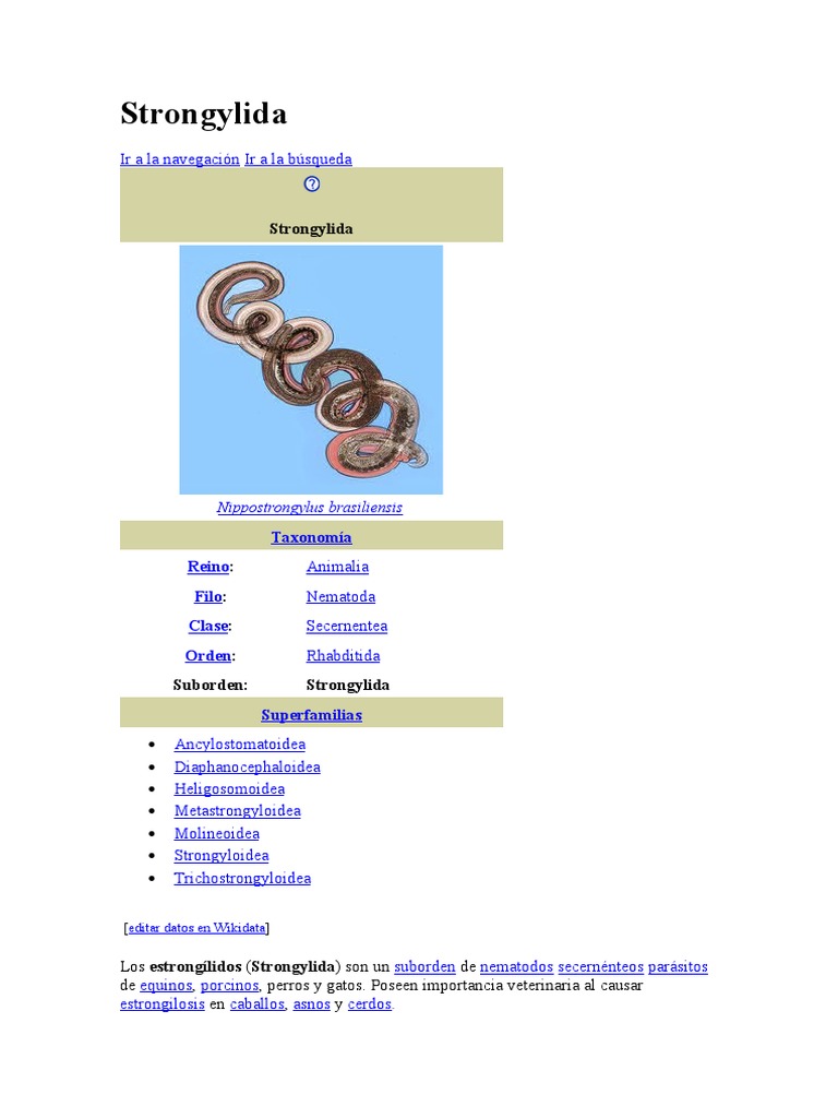 Strongylida | PDF | Organismos | Enfermedades animales
