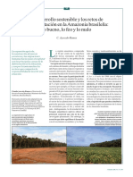 El Desarrollo Sostenible y Los Retos de La Deforestación en La Amazonia Brasileña Lo Bueno, Lo Feo y Lo Malo