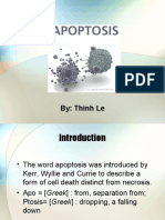 Understanding the Mechanisms of Apoptosis vs Necrosis