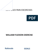 Low Back Pain Excercises