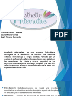 Diapositivas de Marketing Esthetic Alternative