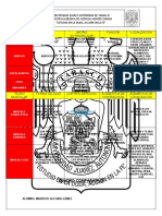 Cuadro Comparativo Tejidos