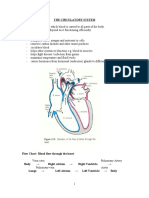 The Circulatory Ststem