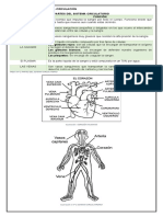 Documento de Circulación