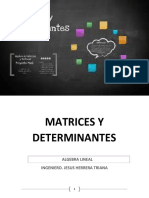 MATRICES Y DETERMINANTES 2.pdf