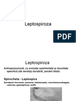 Leptospiroza