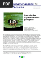 Download Controle de Cigarrinhas-das-Pastagens by Newton de Lucena Costa SN4607852 doc pdf