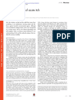 Itch Mechanism PDF