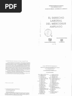 El Derecho Laboral Del Mercosur Ampliado PDF | PDF