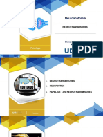 Neurotransmisores PDF