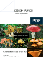 Kingdom Fungi: Bogdan Ana-Maria-Iulia 9G