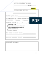 Anexo 3 Idea Tentativa PDF