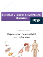 Membrana Plasmatica 2020 - 1 PDF