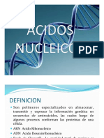 ACIDOS NUCLEICOS