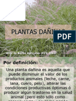 Plantas Dañinas Final