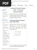 Automatic Payment Program Run in SAP FI -Customize Payment Program