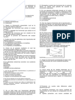 Evaluacion Noveno 1