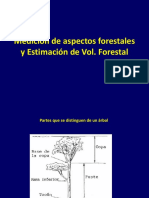 Servicios Ambientales-Forestales