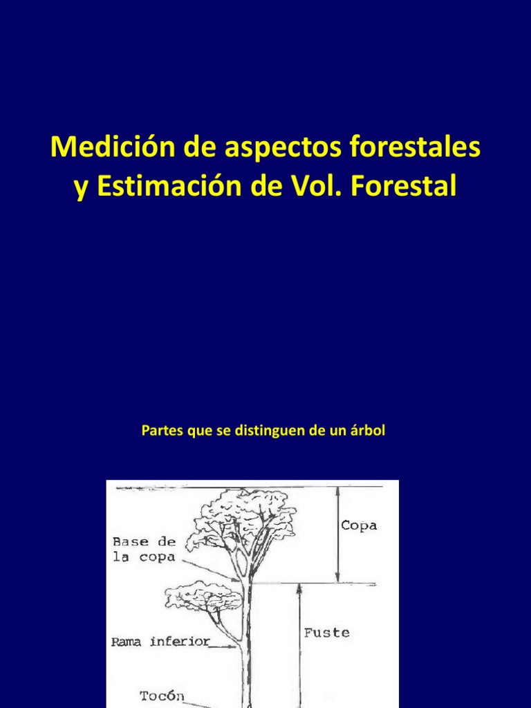 Medición y Volumen Forestal | PDF | Los bosques | Arboles
