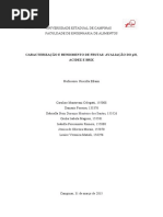 relatório frutas 1 (1)