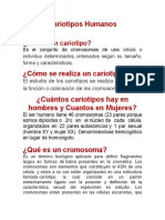 Cariotipos humanos: 46 cromosomas en hombres y mujeres