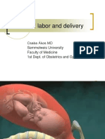 Labor-and-delivery.pdf