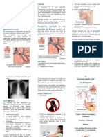 triptico-BRONQUITIS de Luis