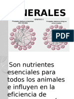 Minerales en La Dieta Animal