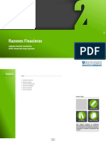 Razones financieras.pdf