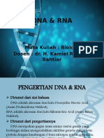 Biologi Dna&rna