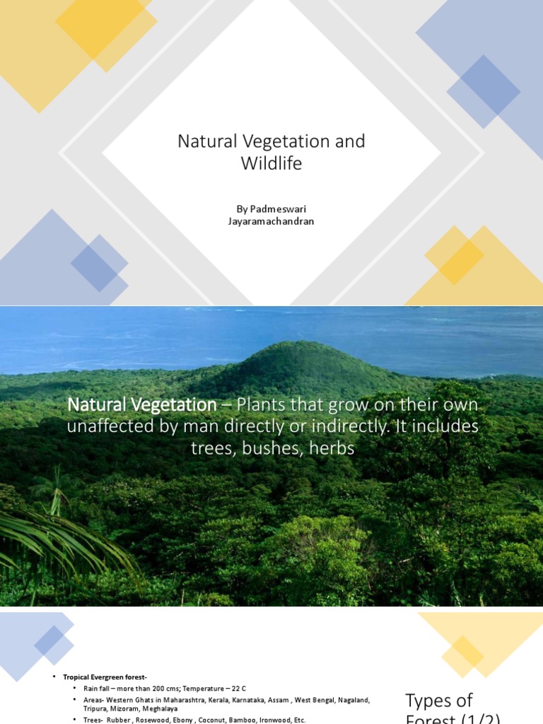 Natural Vegetation and Wildlife in Maharashtra | PDF | Wildlife | Trees
