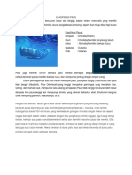 Klasisfikasi Paus PDF