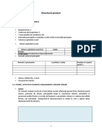 Structura Proiect - CSIE