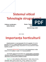 Sistemul Viticol - Tehnologie Struguri Rosi