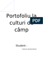 Portofoliu La Culturi de Câmp