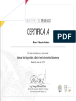 Manual de Seguridad y Salud en La Industria Bananera-Certificado de Participación 2045