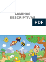 Laminas Descriptivas