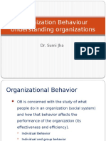 Organization Behaviour Understanding Organizations: Dr. Sumi Jha