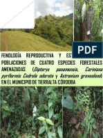 Fenología Reproductiva y Estado de Las Poblaciones de Cuatro Especies Forestales