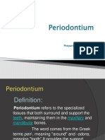 Periodontium: DR Minhaj Lecturer, Cidc
