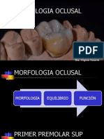 Morfologia Oclusal Dientes Posteriores PDF