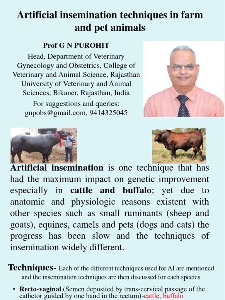 Artificial Insemination Techniques in Farm and Pet Animals | PDF | Vagina |  Horse Breeding