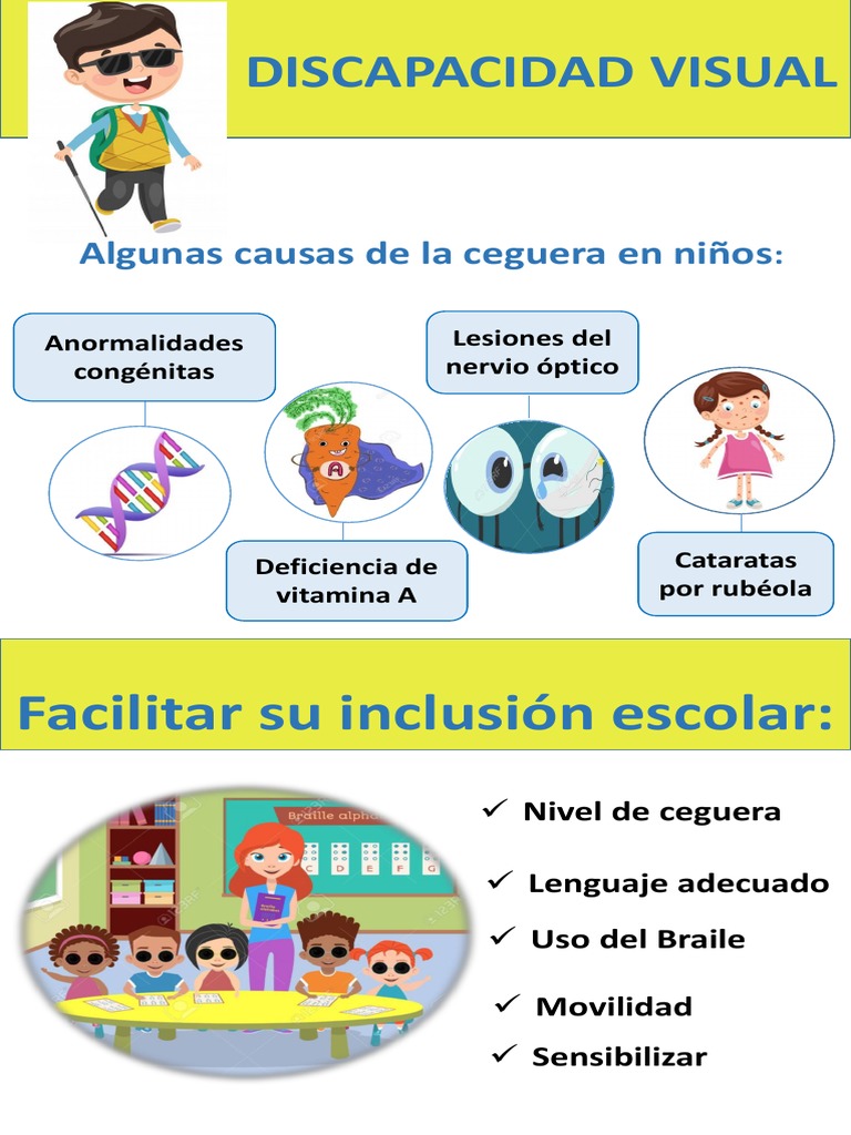 Causas y características de la discapacidad visual | PDF